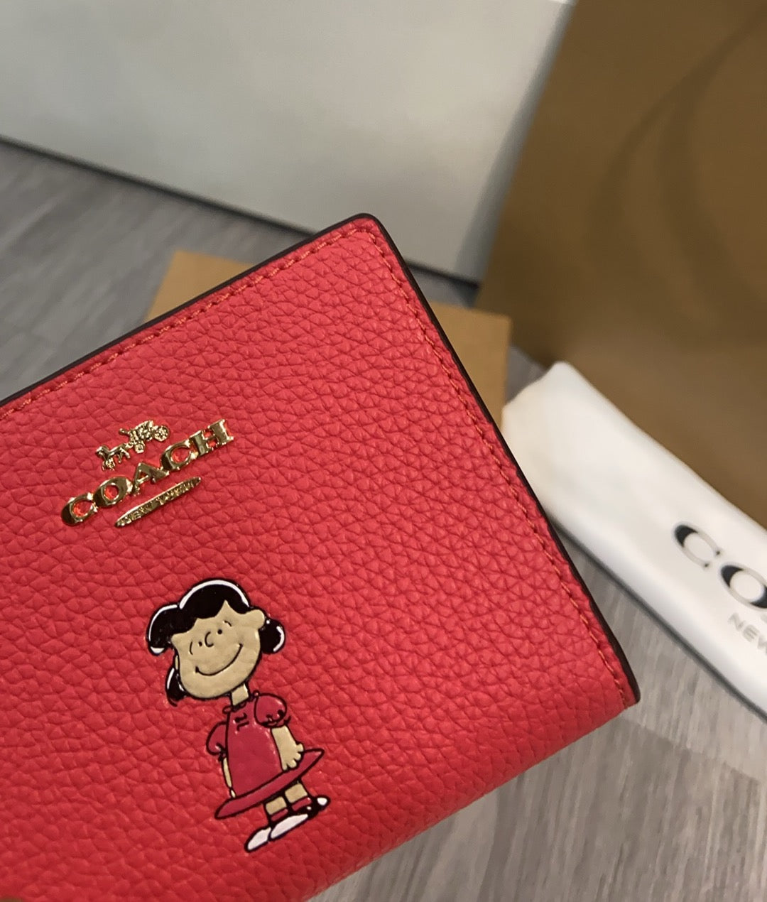 LuxluxHouse Best Quality Bags Coach