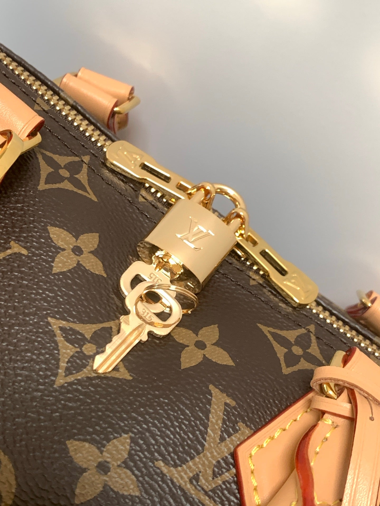 LuxluxHouse Best Quality Bags Louis Vuitton Women
