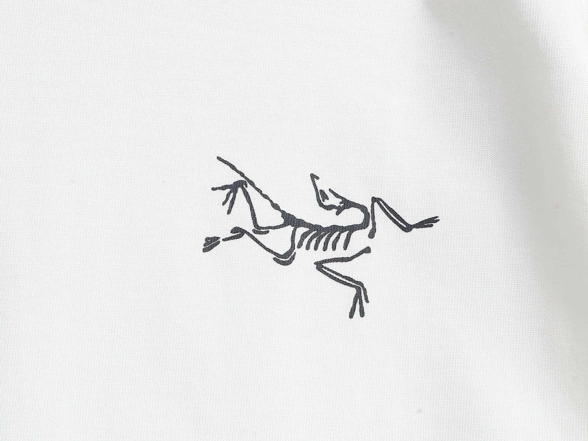 LuxluxHouse Best Quality Clothes T-shirt Arcteryx