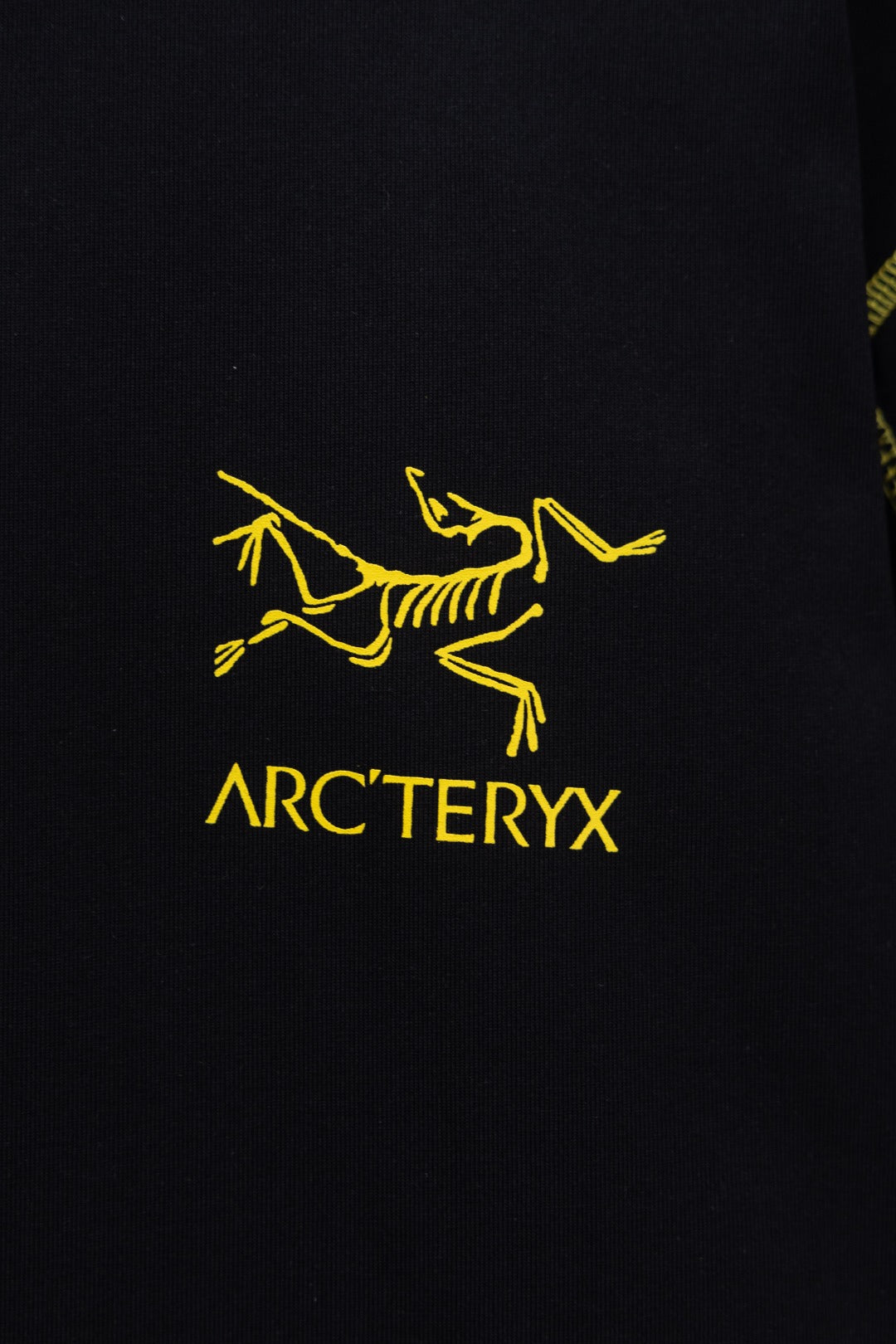 LuxluxHouse Best Quality Clothes T-shirt Arcteryx
