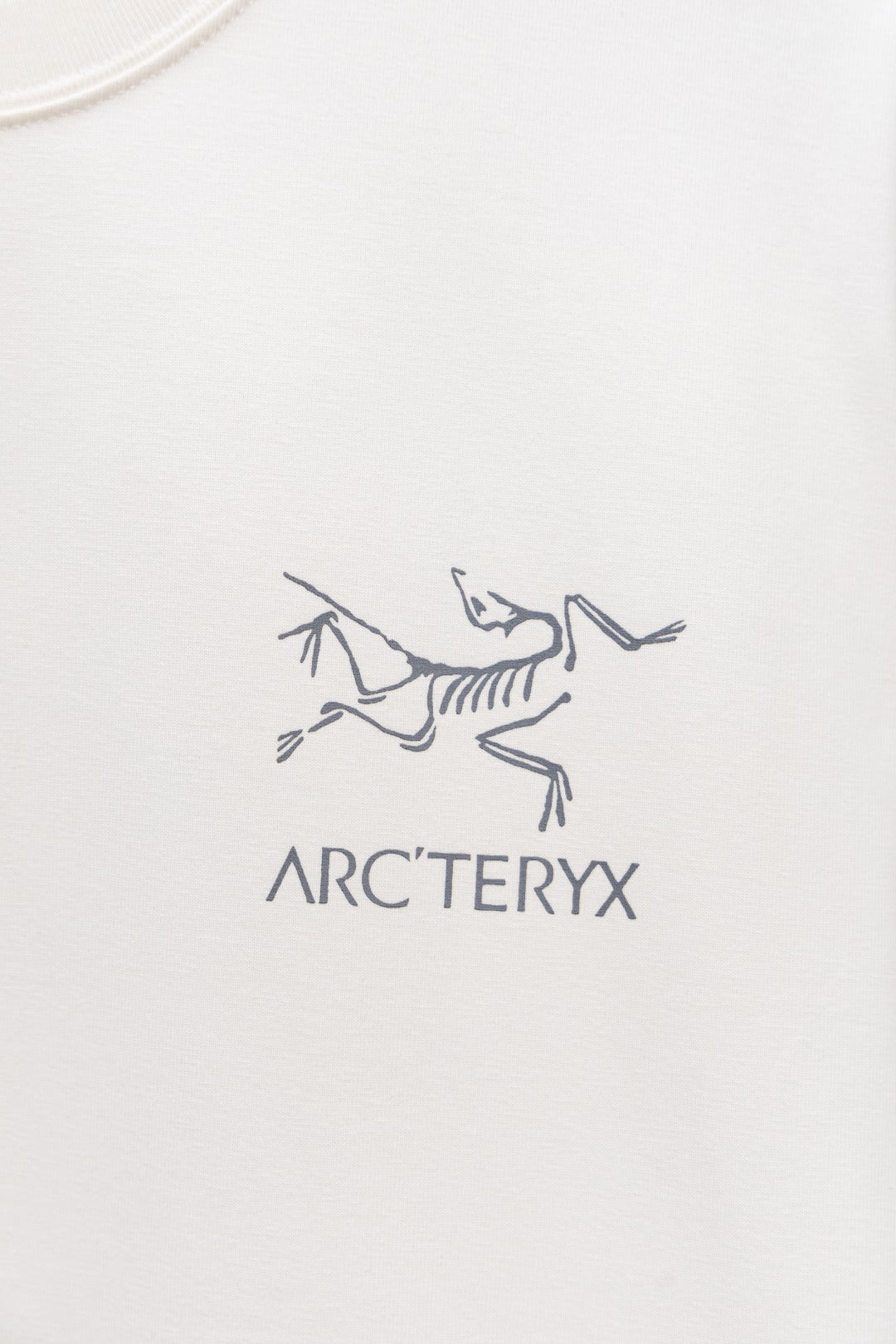 LuxluxHouse Best Quality Clothes T-shirt Arcteryx