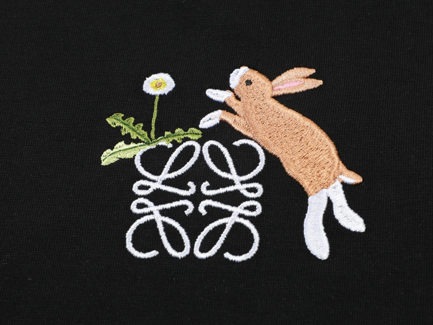 LuxluxHouse Best Quality Clothes T-shirt Loewe