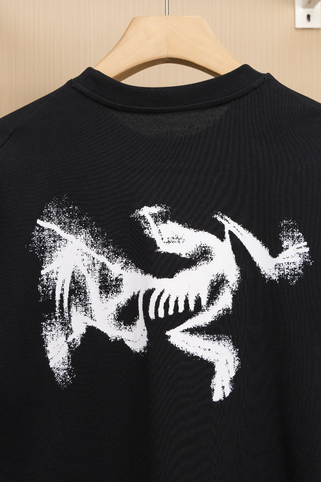 LuxluxHouse Best Quality Clothes T-shirt Arcteryx