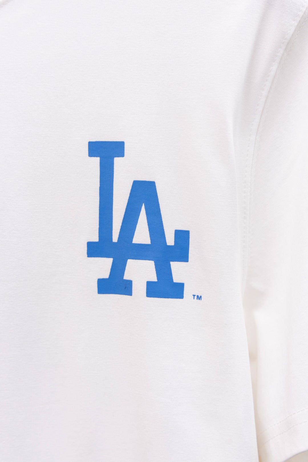 LuxluxHouse Best Quality Clothes The North Face & MLB T-shirt