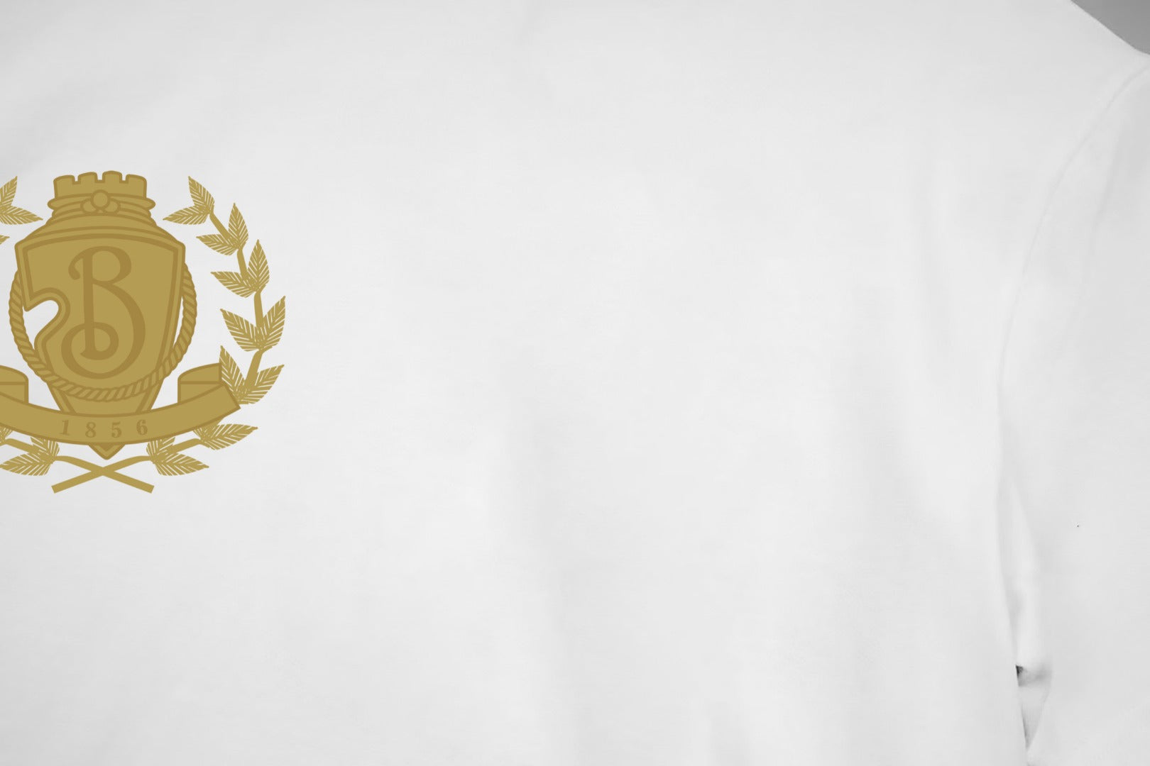 LuxluxHouse Best Quality Clothes Burberry T-shirt