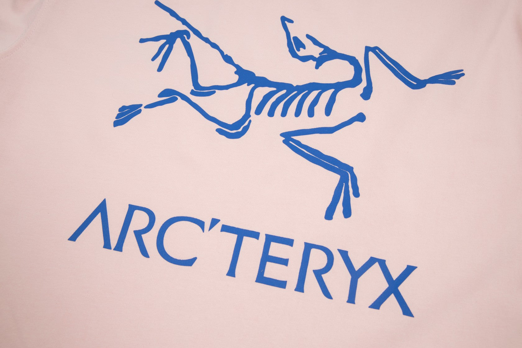 LuxluxHouse Best Quality Clothes T-shirt Arcteryx
