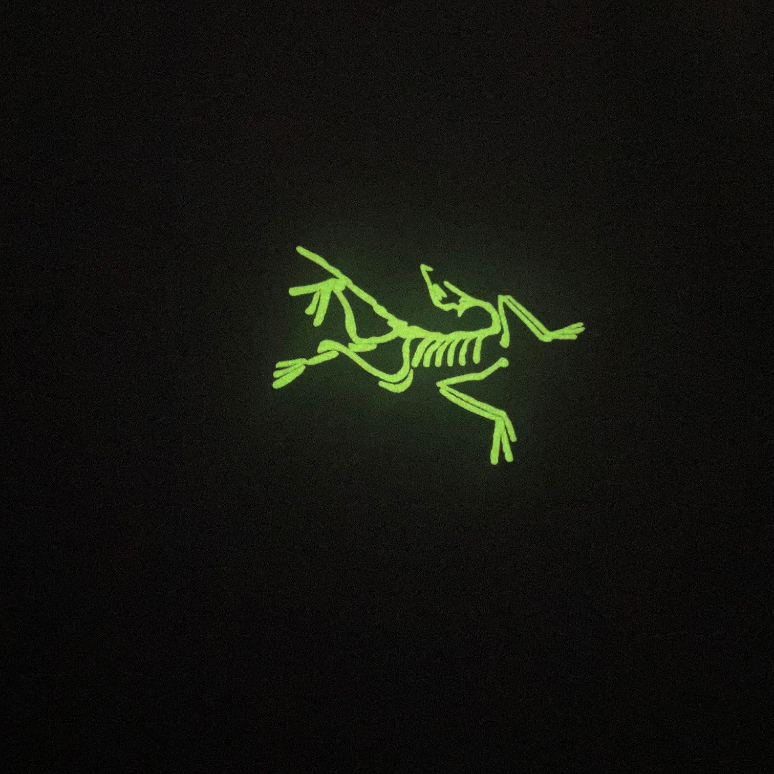 LuxluxHouse Best Quality Clothes T-shirt Arcteryx