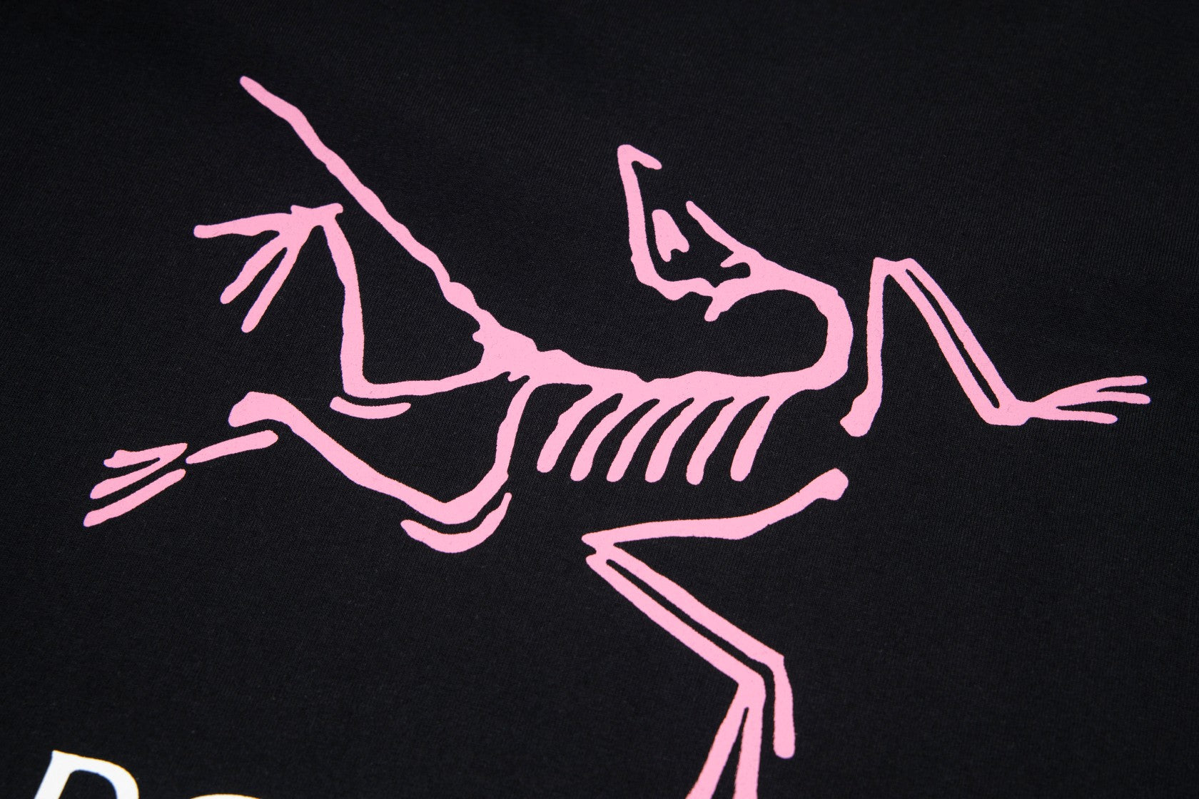 LuxluxHouse Best Quality Clothes T-shirt Arcteryx