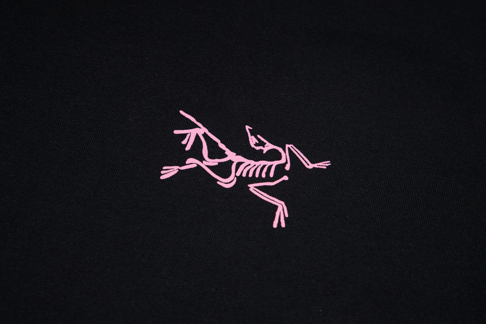 LuxluxHouse Best Quality Clothes T-shirt Arcteryx