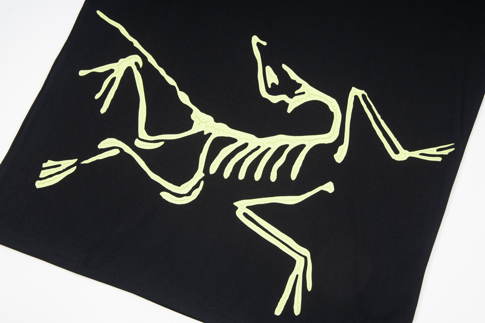 LuxluxHouse Best Quality Clothes T-shirt Arcteryx