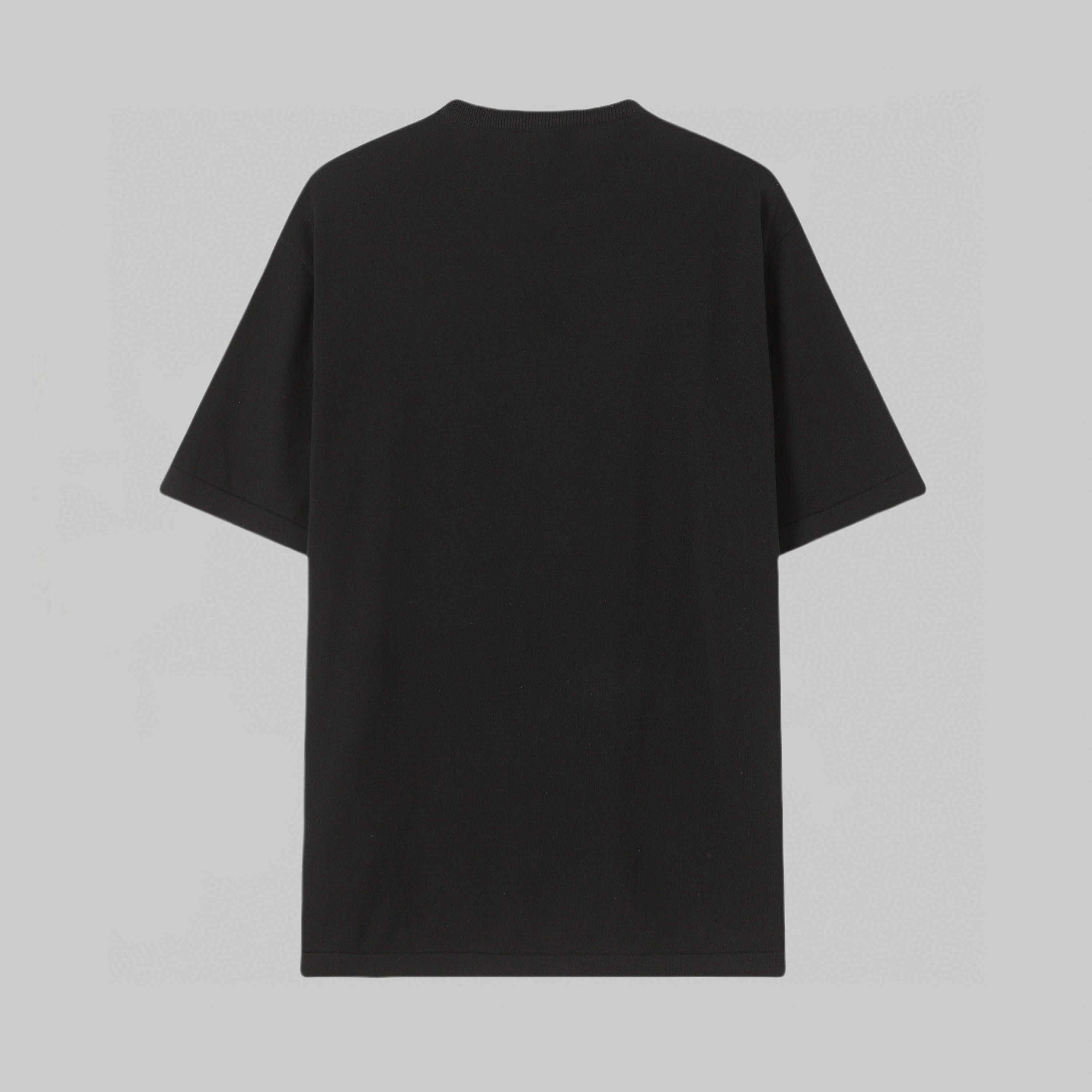 LuxluxHouse Best Quality Clothes T-shirt Loewe