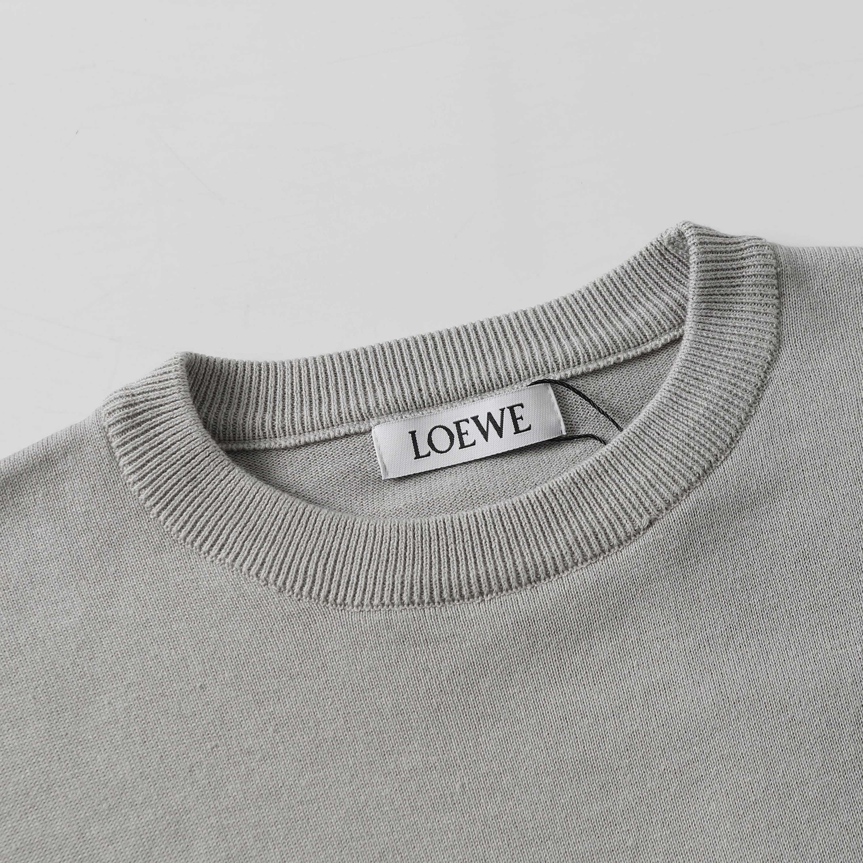 LuxluxHouse Best Quality Clothes T-shirt Loewe