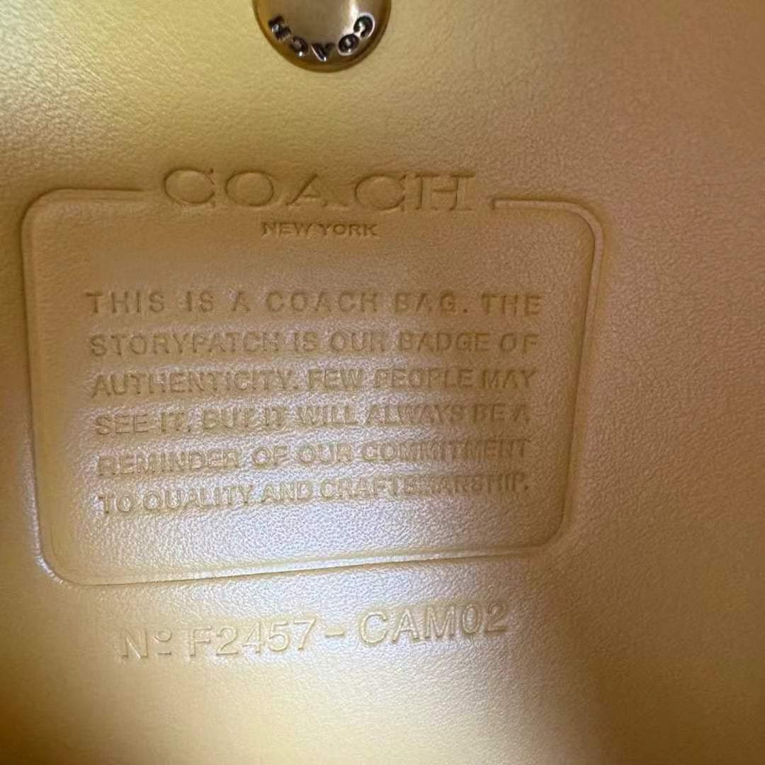 LuxluxHouse Best Quality Bags Coach