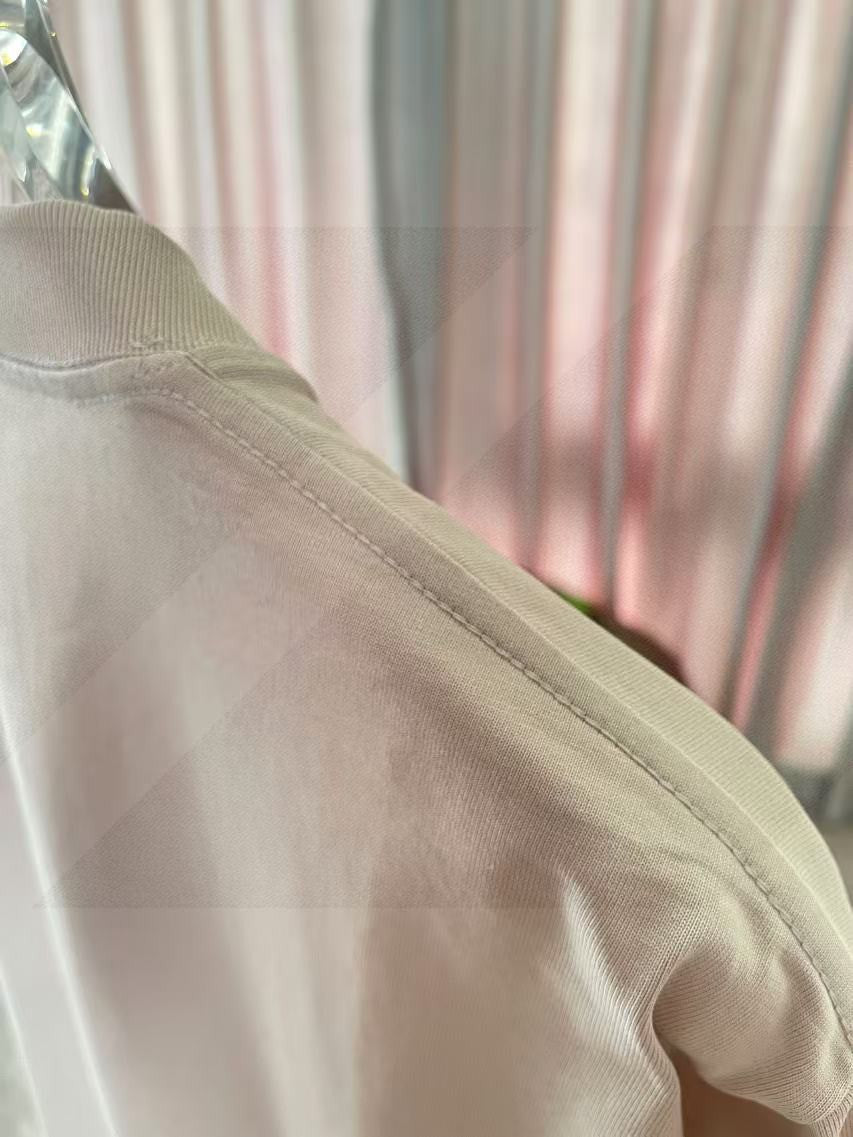 LuxluxHouse Best Quality Clothes T-shirt Dior
