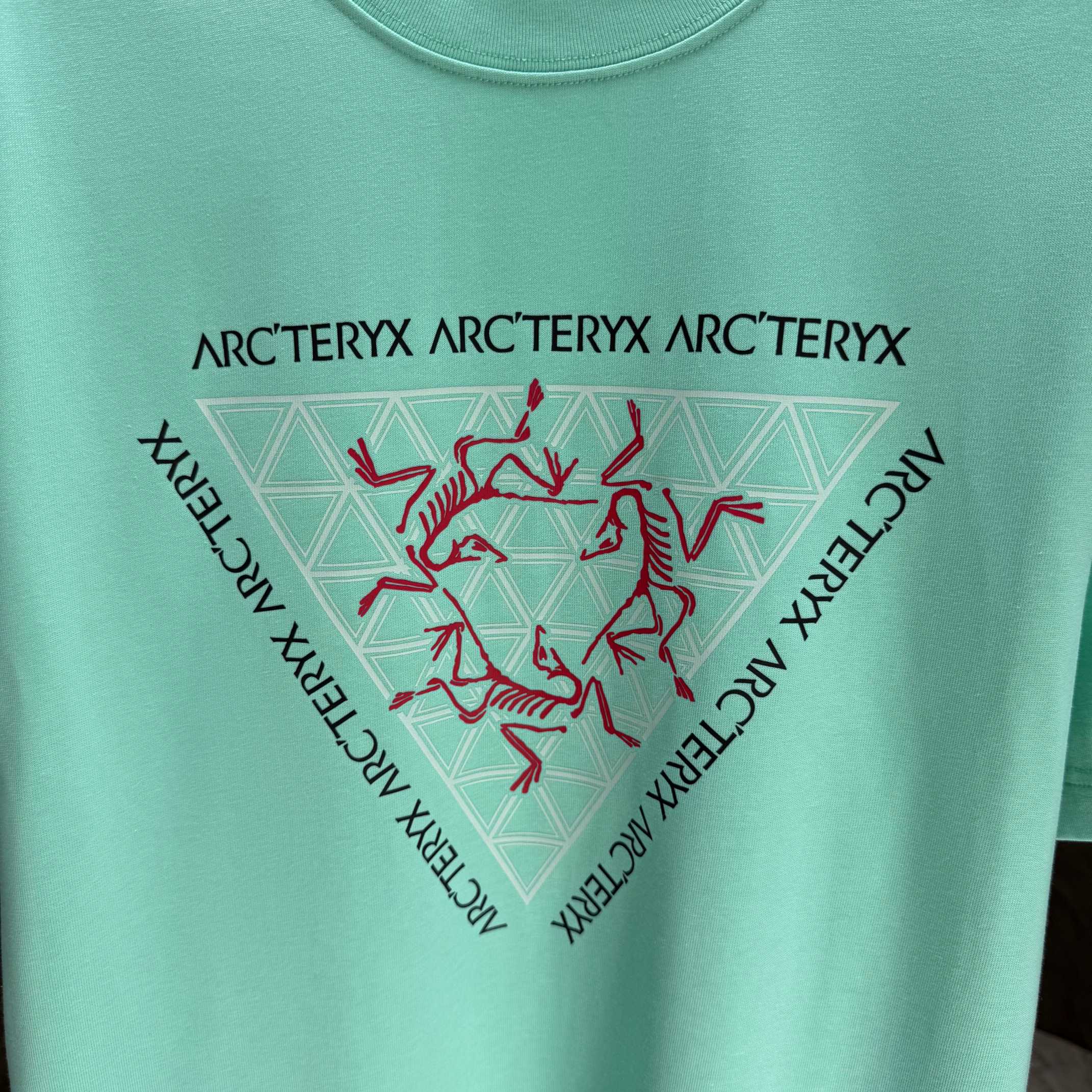 LuxluxHouse Best Quality Clothes T-shirt Arcteryx