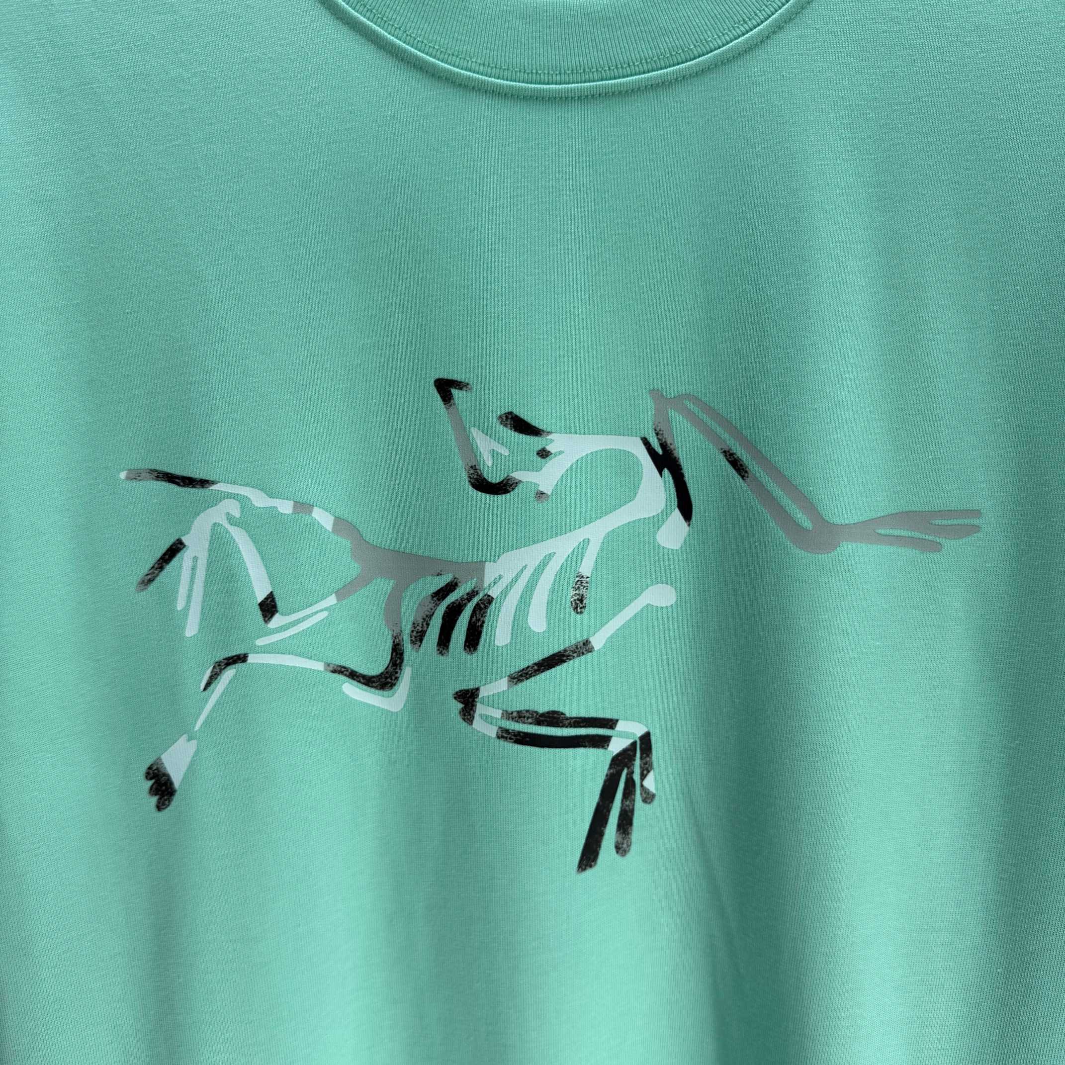 LuxluxHouse Best Quality Clothes T-shirt Arcteryx