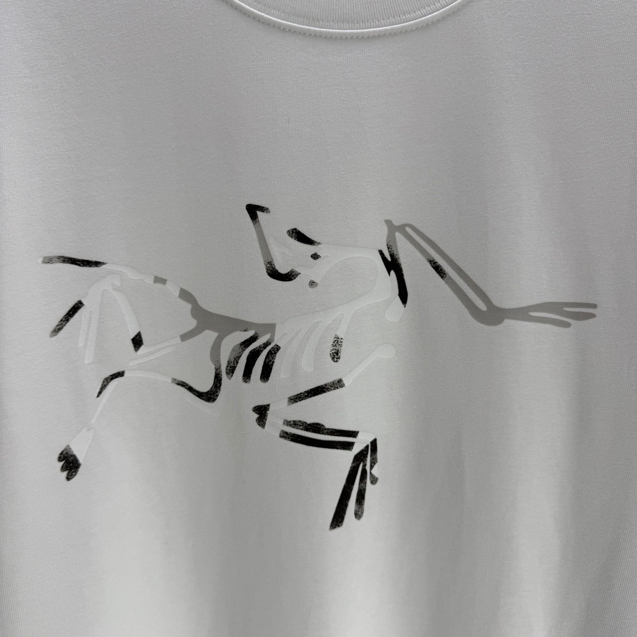 LuxluxHouse Best Quality Clothes T-shirt Arcteryx