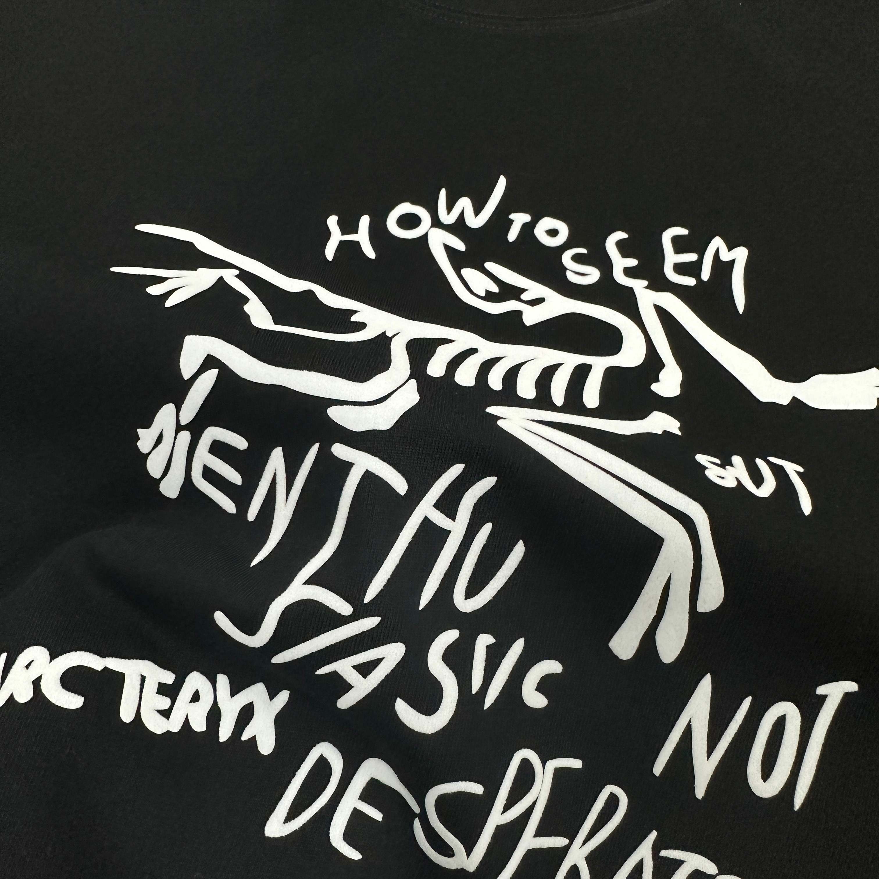 LuxluxHouse Best Quality Clothes T-shirt Arcteryx