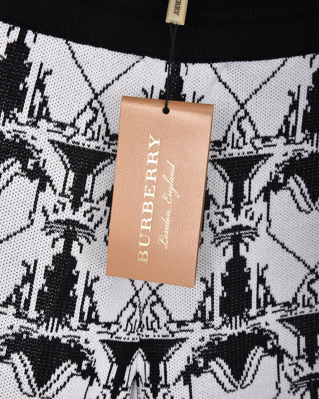 LuxluxHouse Best Quality Clothes Burberry Pants