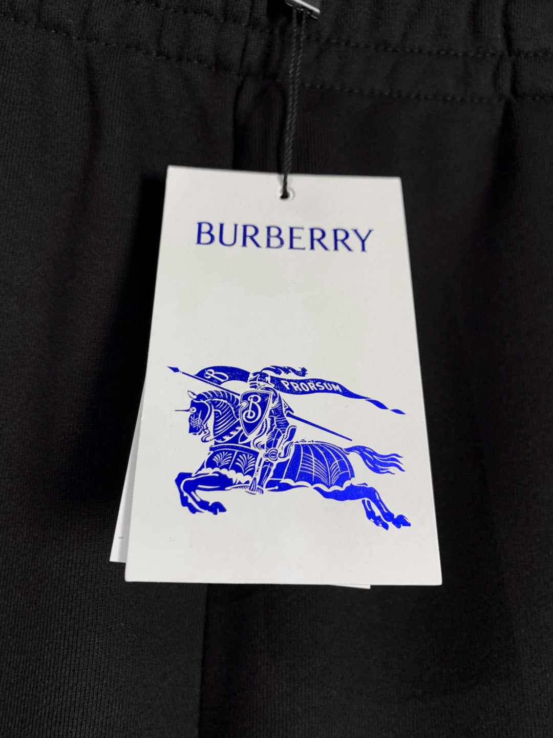LuxluxHouse Best Quality Clothes Burberry Pants