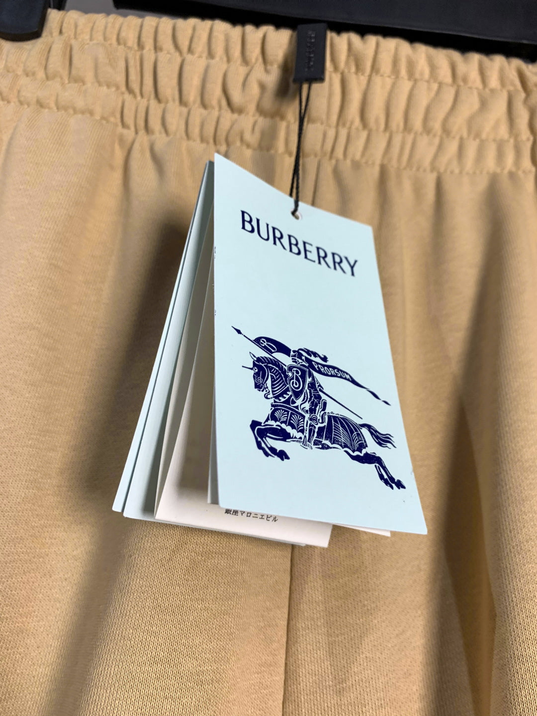 LuxluxHouse Best Quality Clothes Burberry Pants