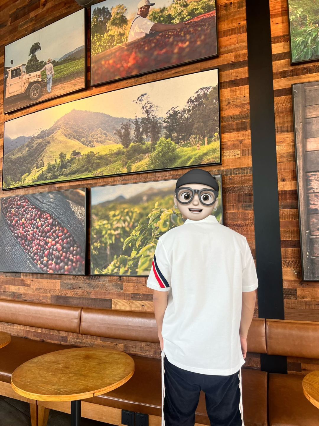 LuxluxHouse Best Quality Clothes Shirts&Polo Moncler