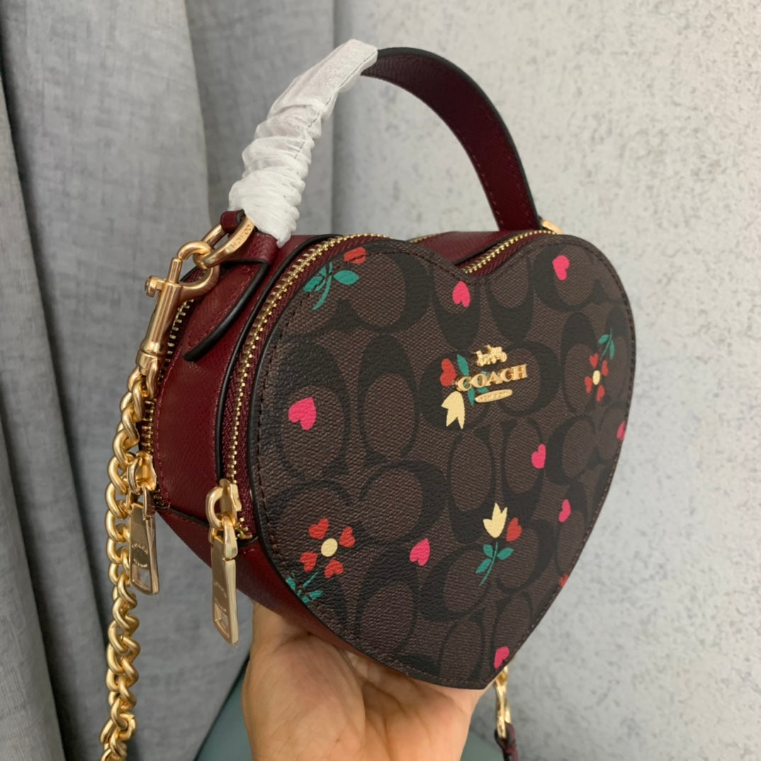 LuxluxHouse Best Quality Bags Coach