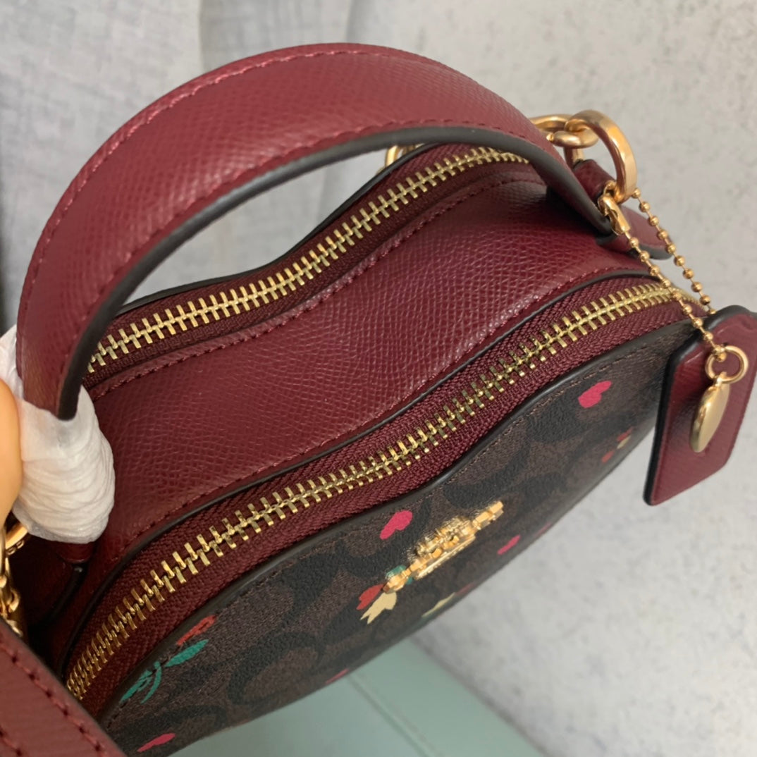 LuxluxHouse Best Quality Bags Coach
