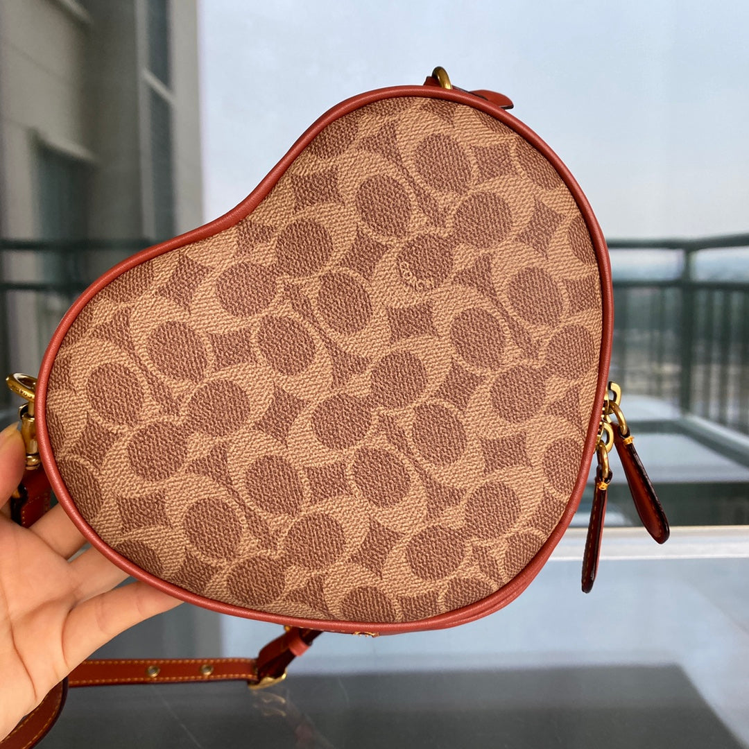 LuxluxHouse Best Quality Bags Coach