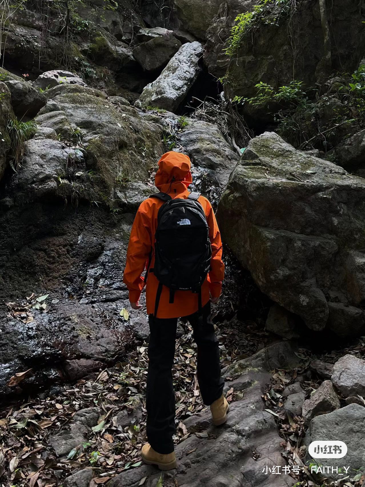 LuxluxHouse Best Quality Clothes Coats & Jackets Arcteryx