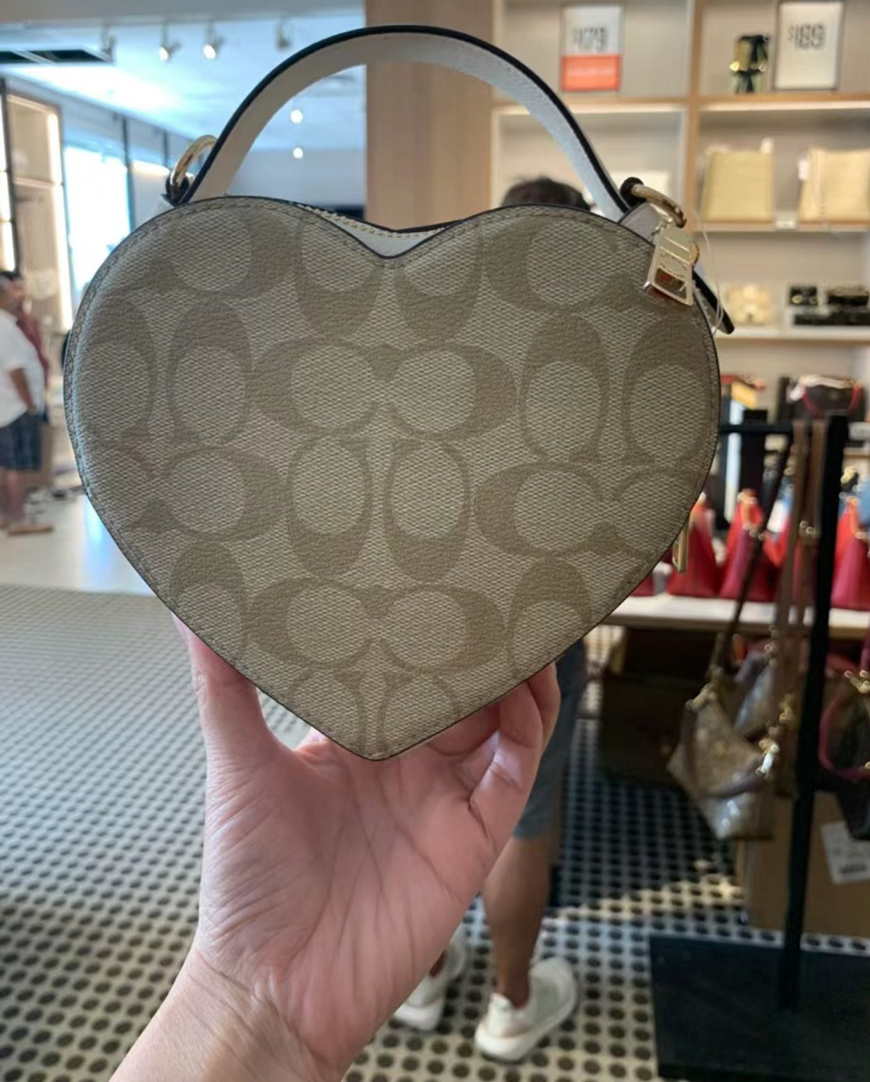 LuxluxHouse Best Quality Bags Coach