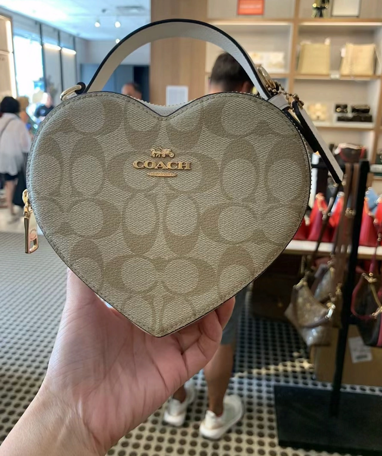 LuxluxHouse Best Quality Bags Coach