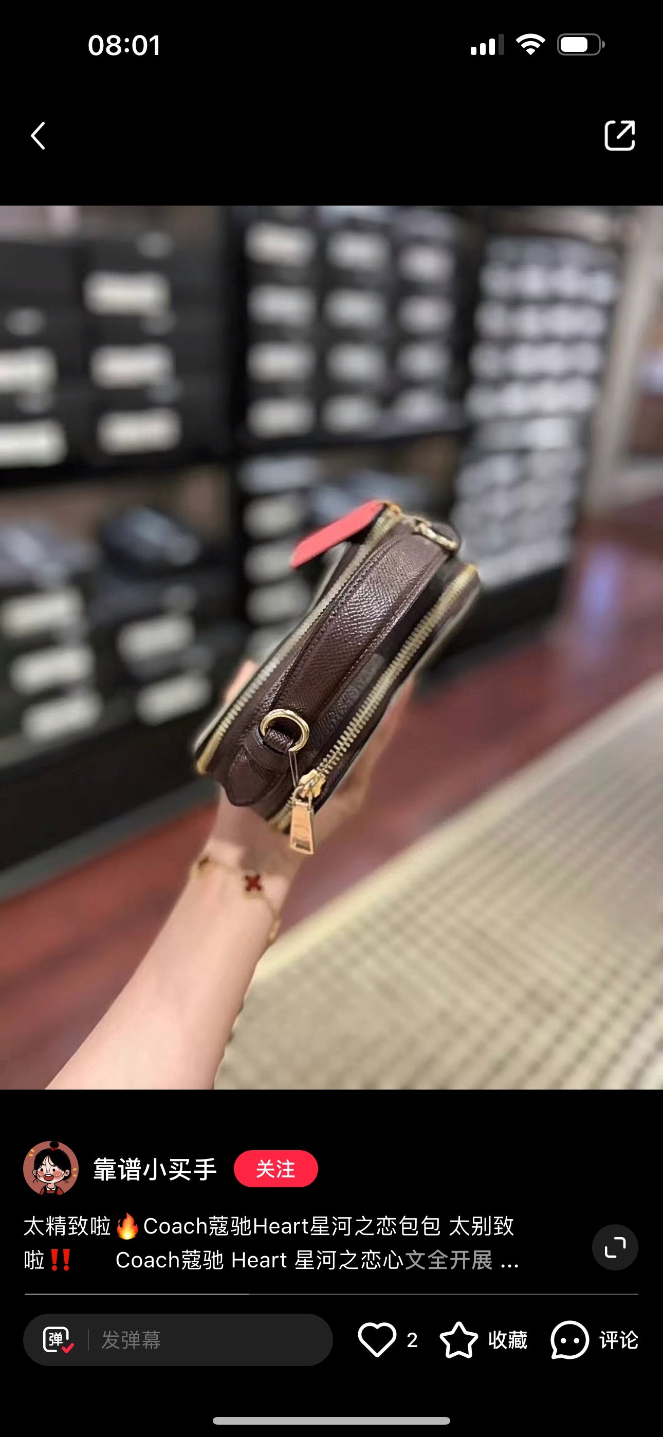 LuxluxHouse Best Quality Bags Coach