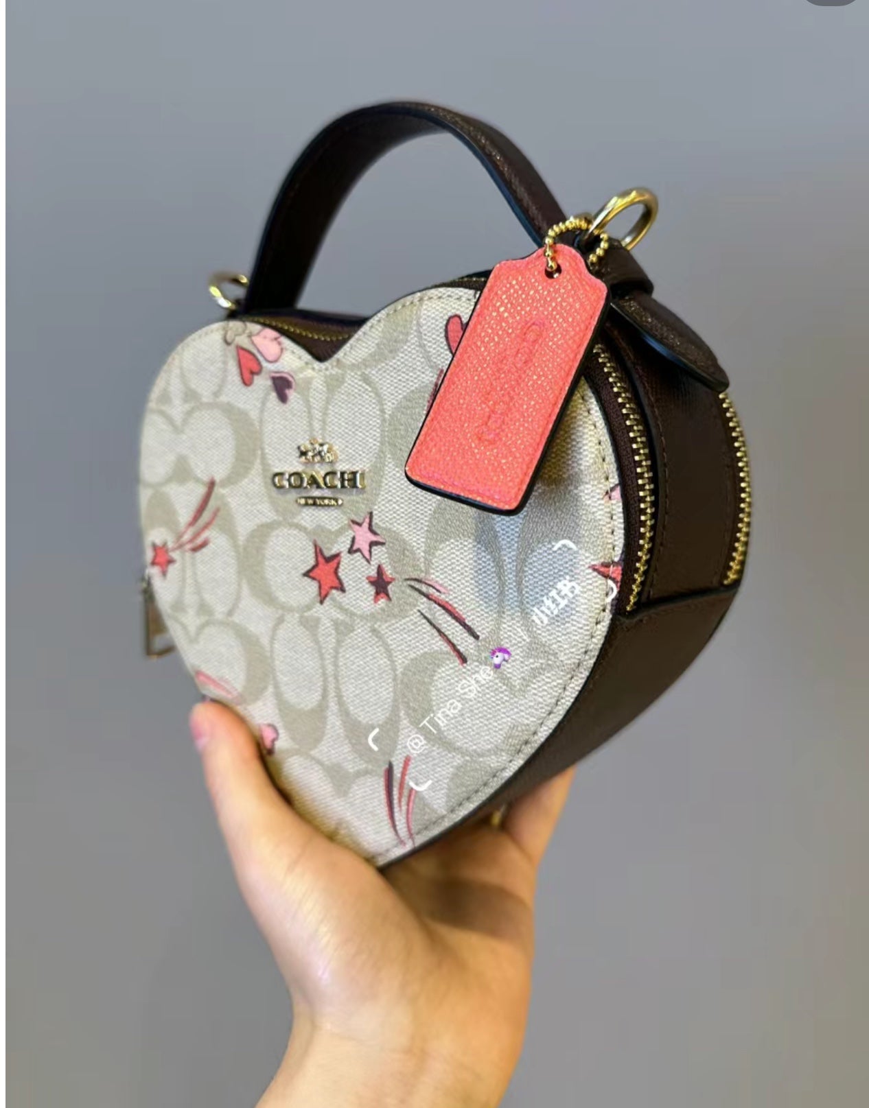 LuxluxHouse Best Quality Bags Coach
