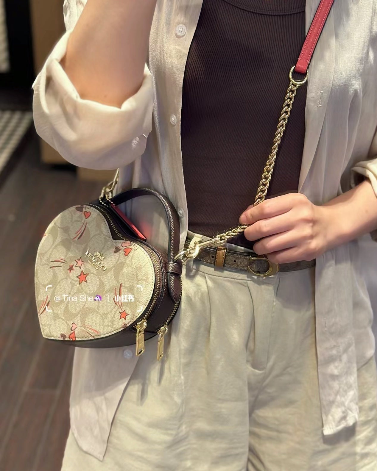 LuxluxHouse Best Quality Bags Coach