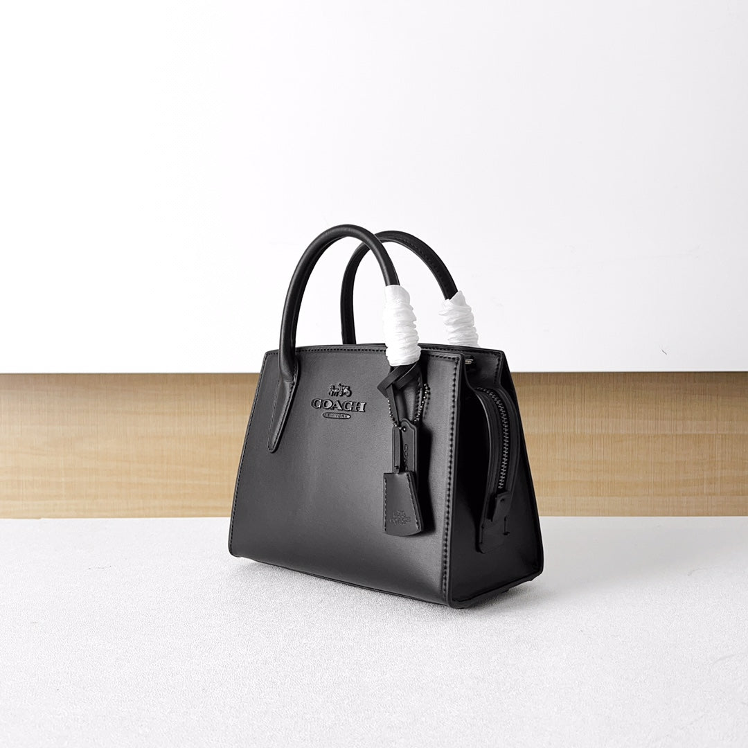 LuxluxHouse Best Quality Bags Coach
