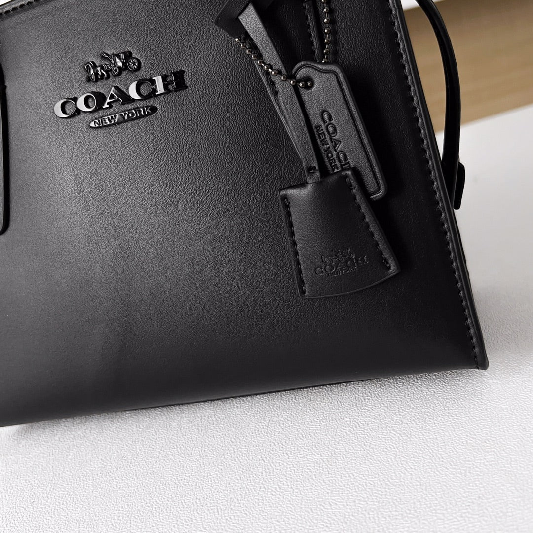 LuxluxHouse Best Quality Bags Coach