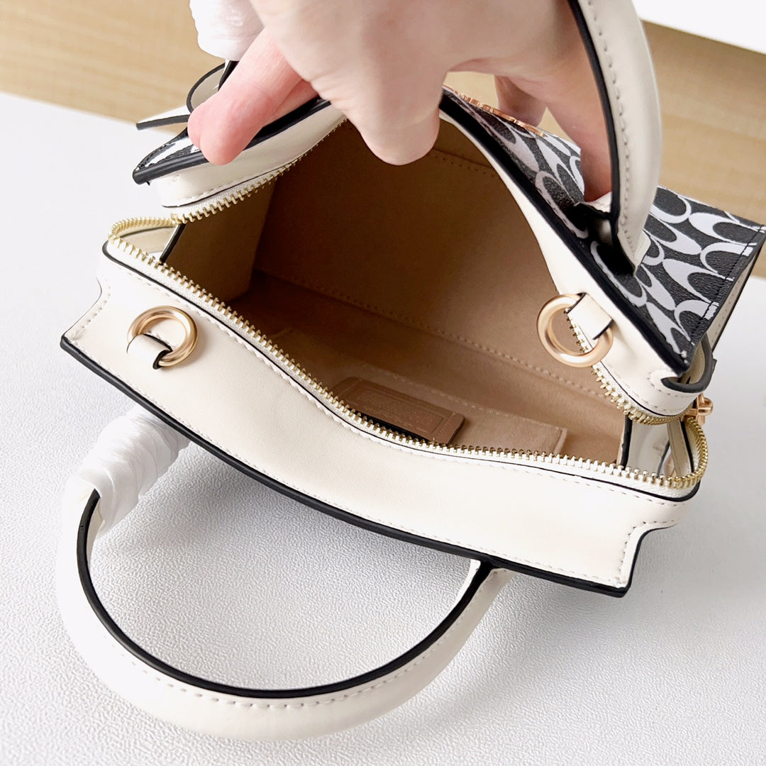 LuxluxHouse Best Quality Bags Coach