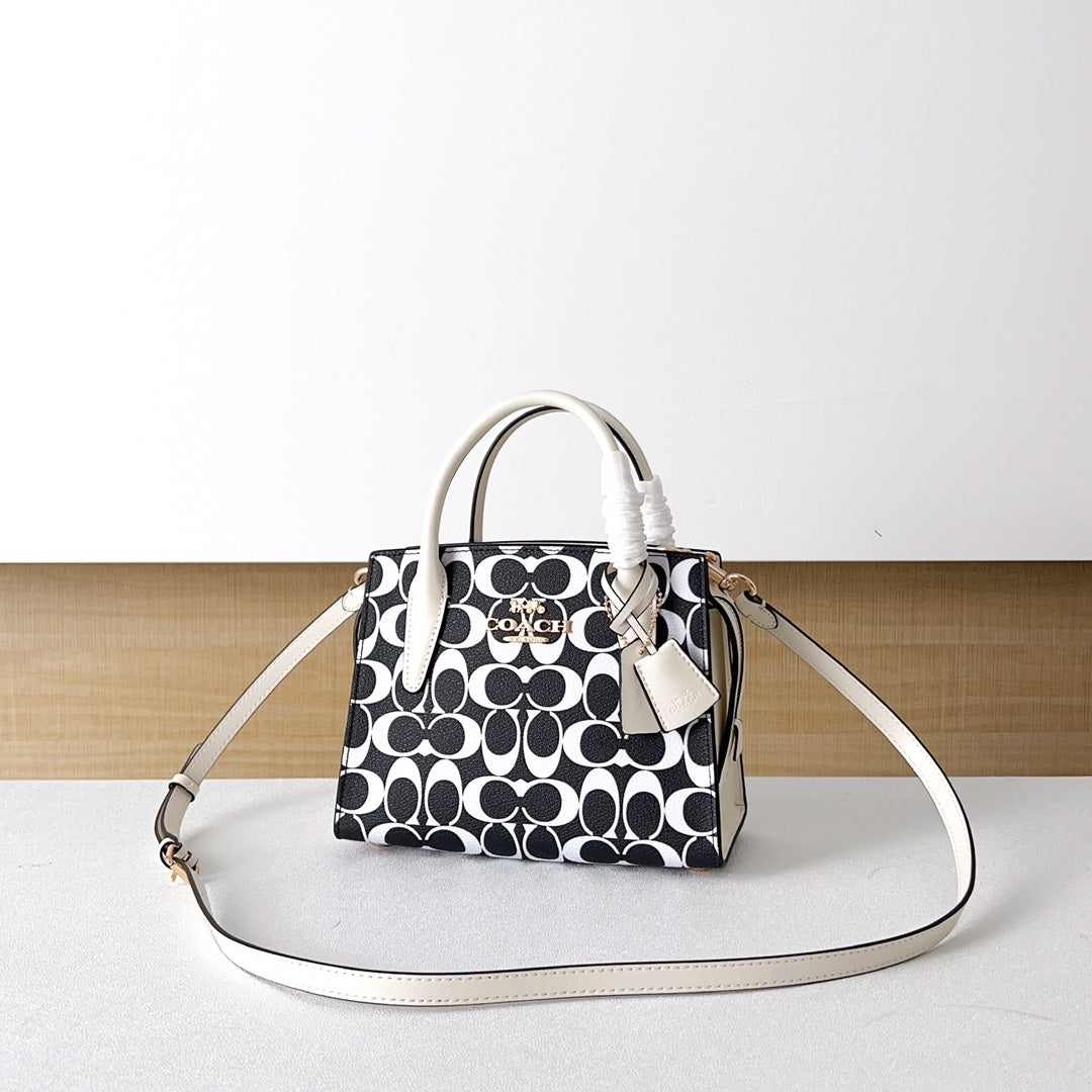 LuxluxHouse Best Quality Bags Coach
