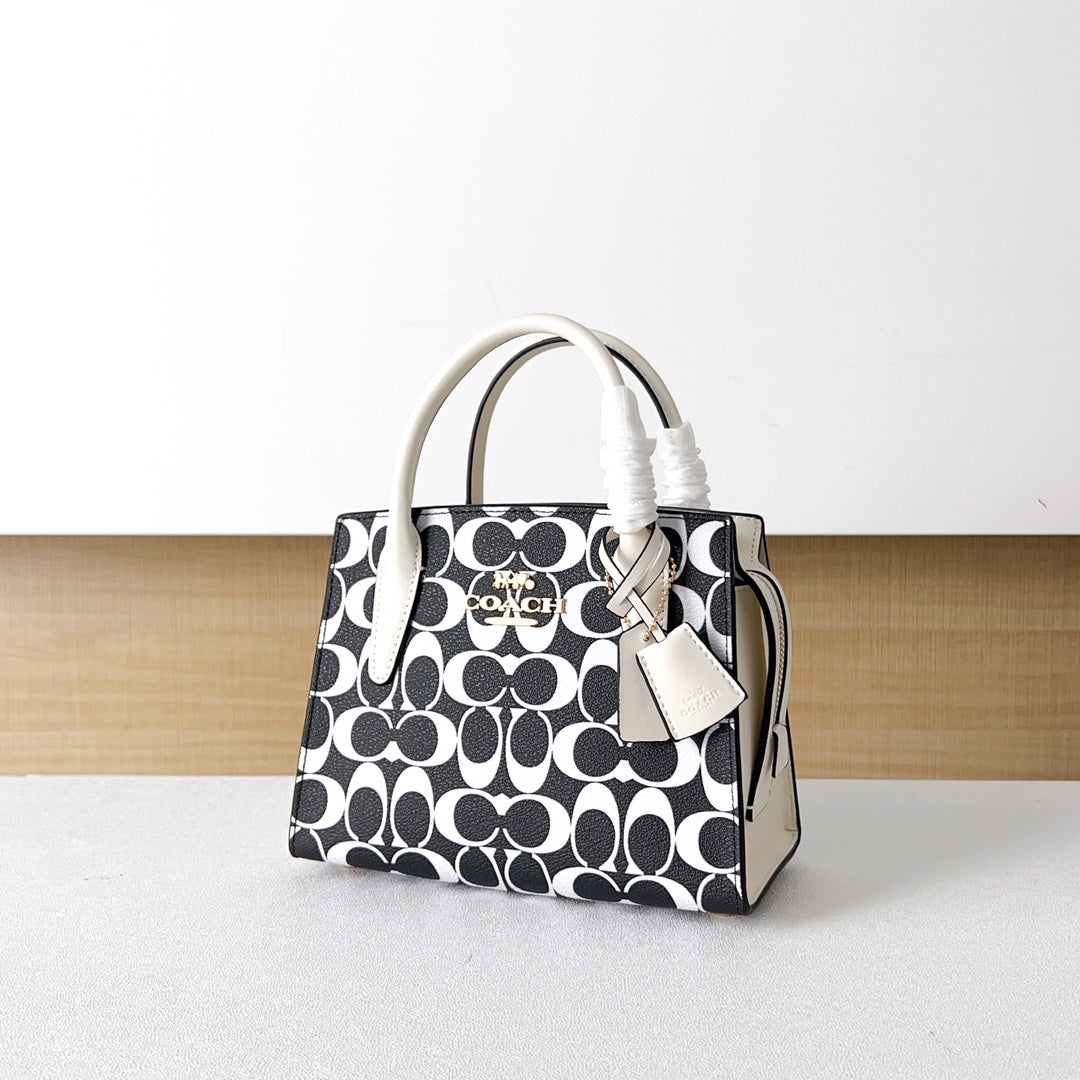 LuxluxHouse Best Quality Bags Coach