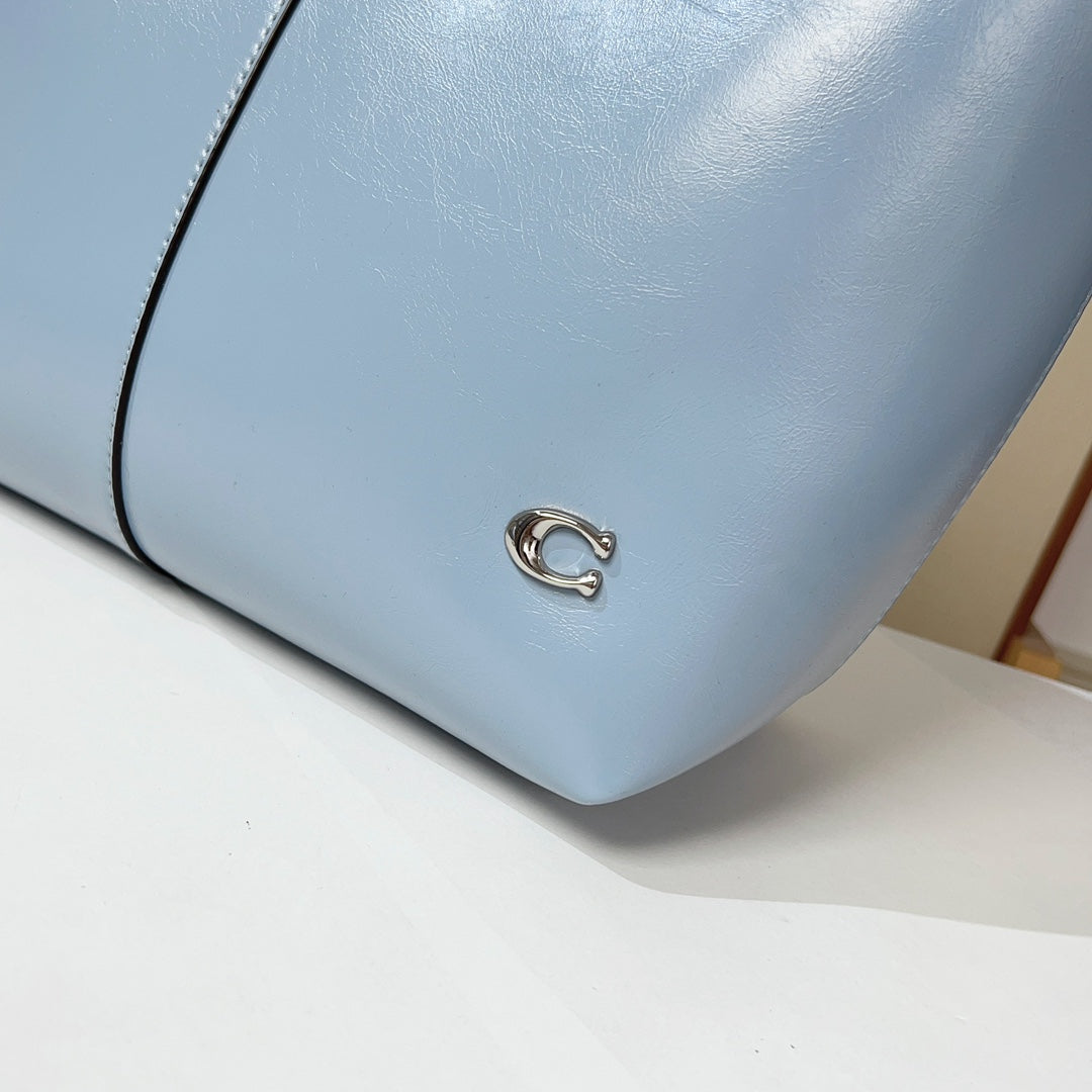 LuxluxHouse Best Quality Bags Coach