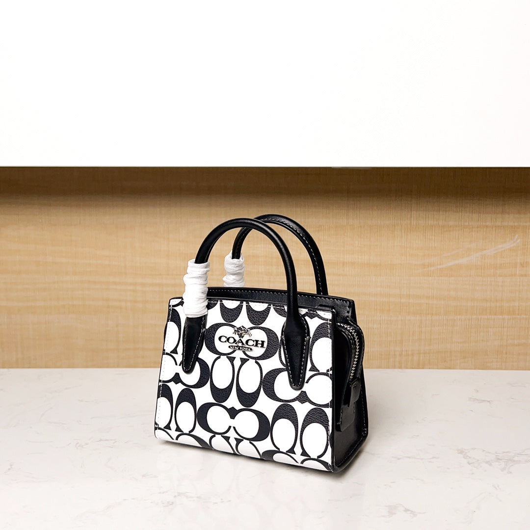 LuxluxHouse Best Quality Bags Coach