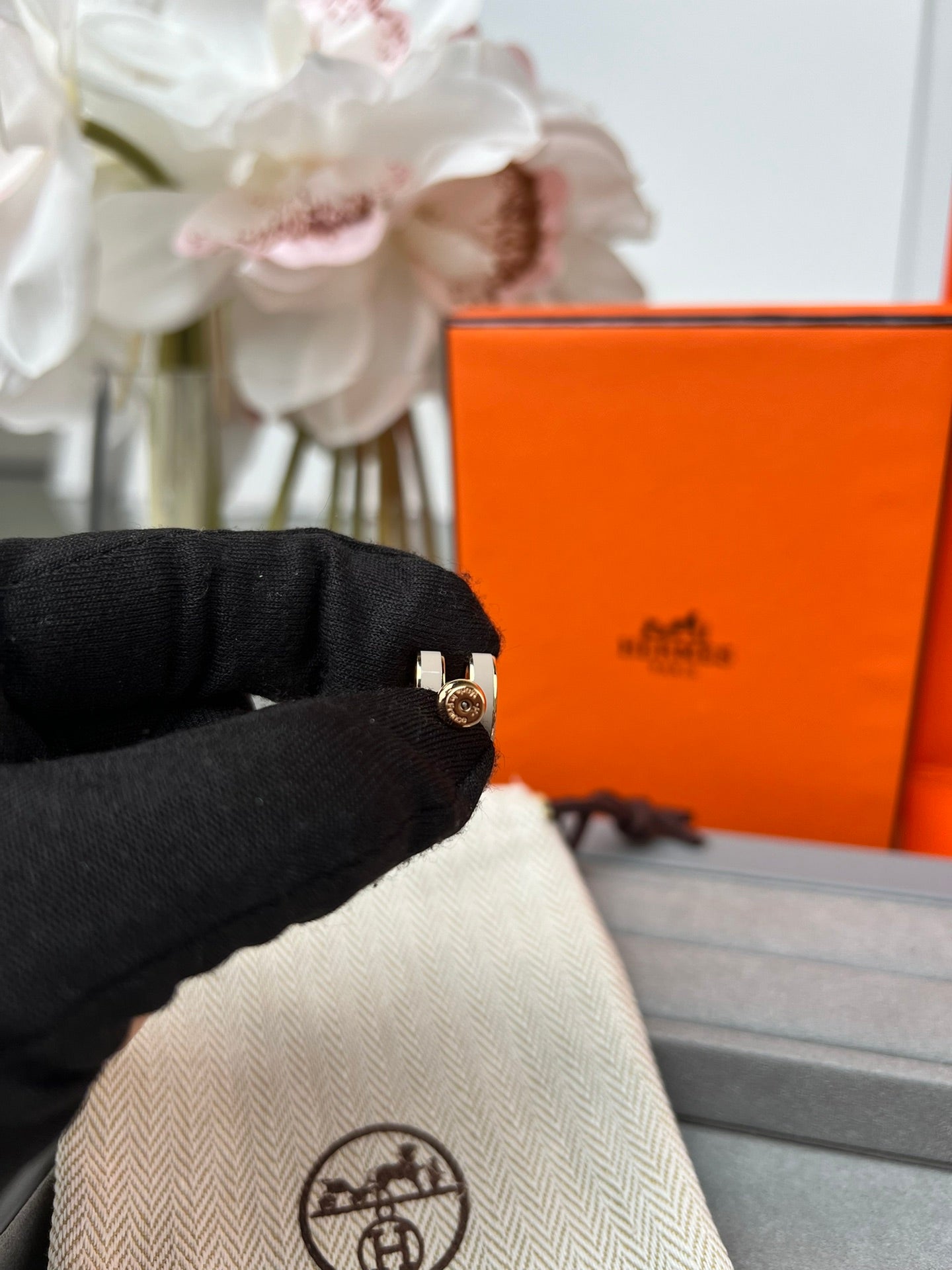 LuxluxHouse Best Quality Accessories Hermes Earrings