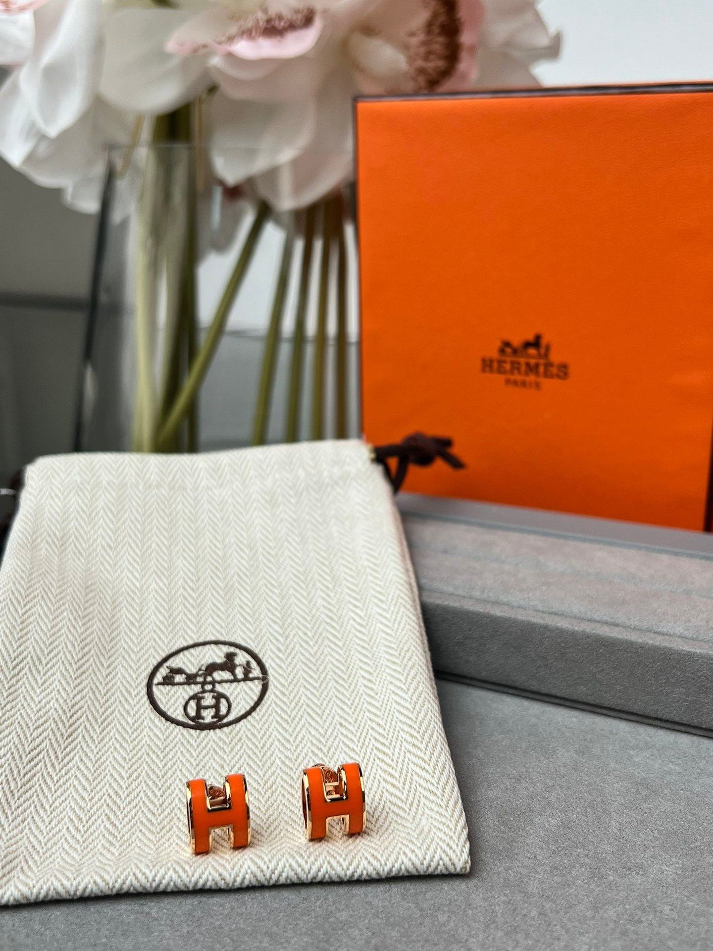 LuxluxHouse Best Quality Accessories Hermes Earrings