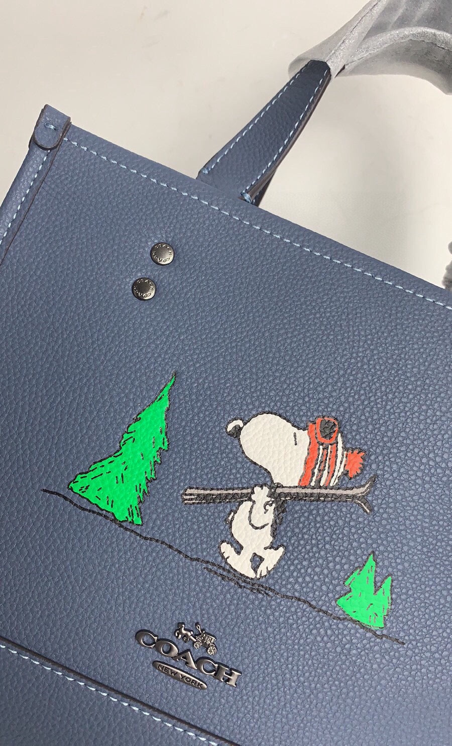 LuxluxHouse Best Quality Bags Coach