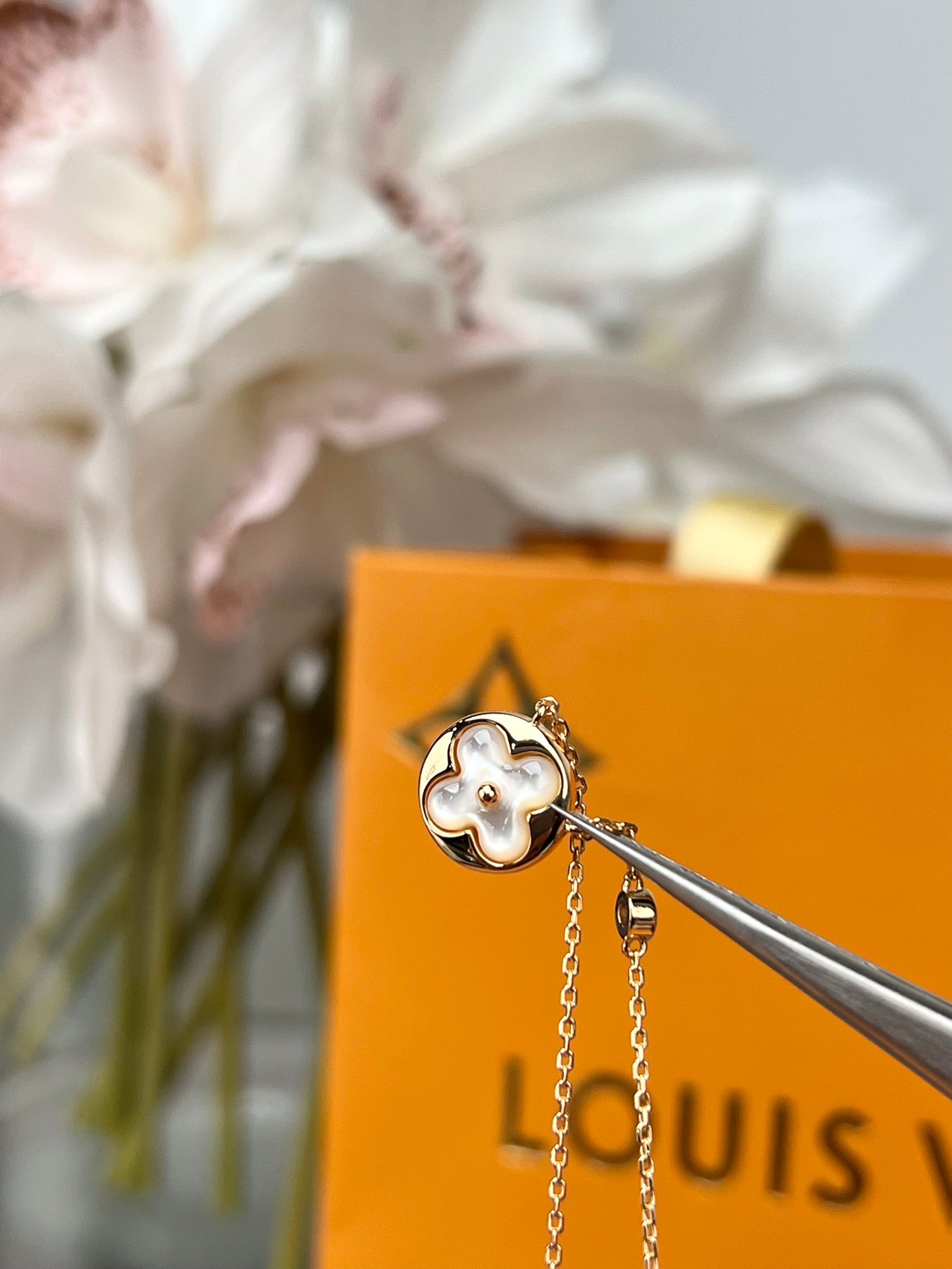 LuxluxHouse Best Quality Accessories Necklace Louis Vuitton