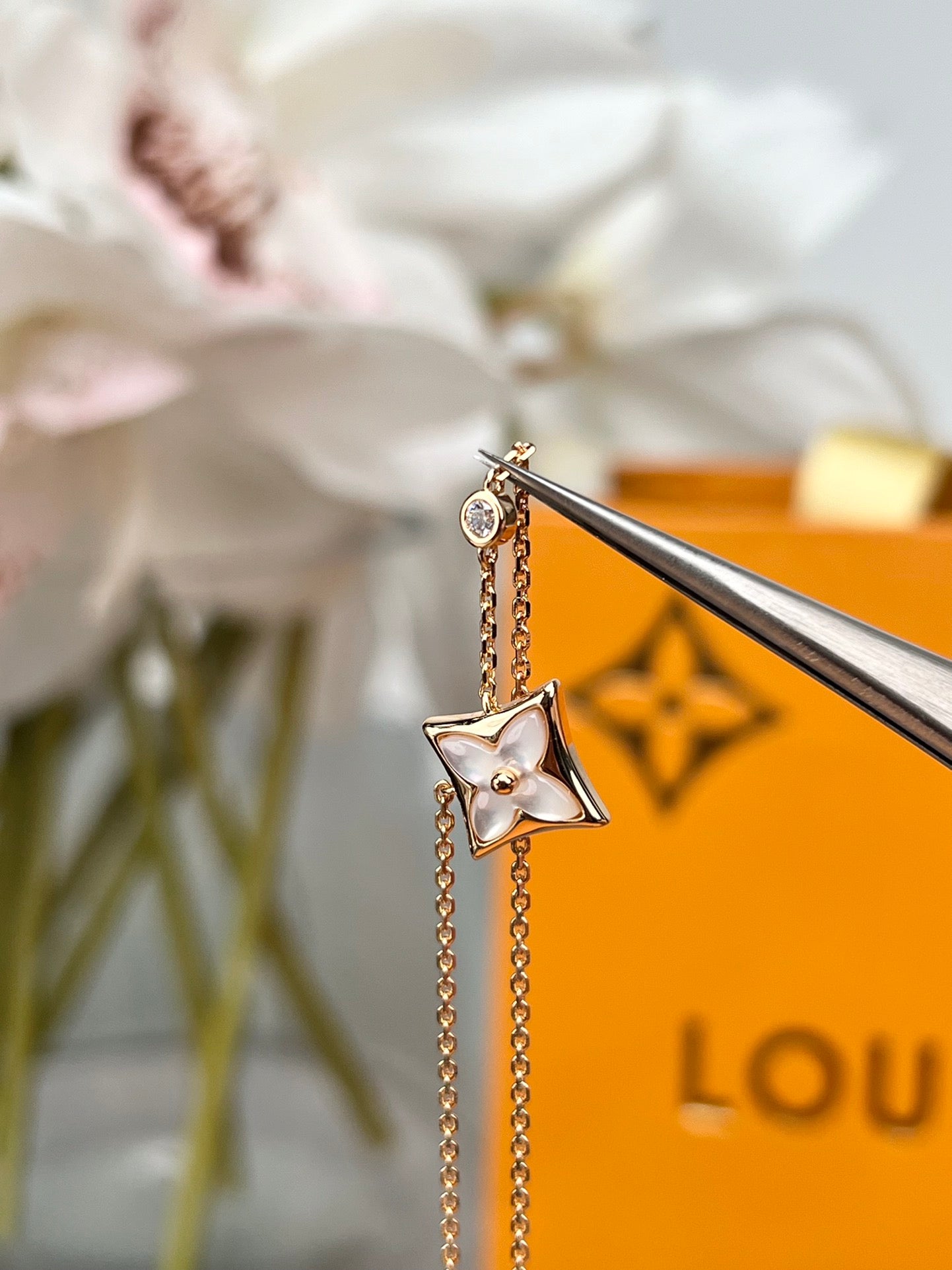 LuxluxHouse Best Quality Accessories Necklace Louis Vuitton