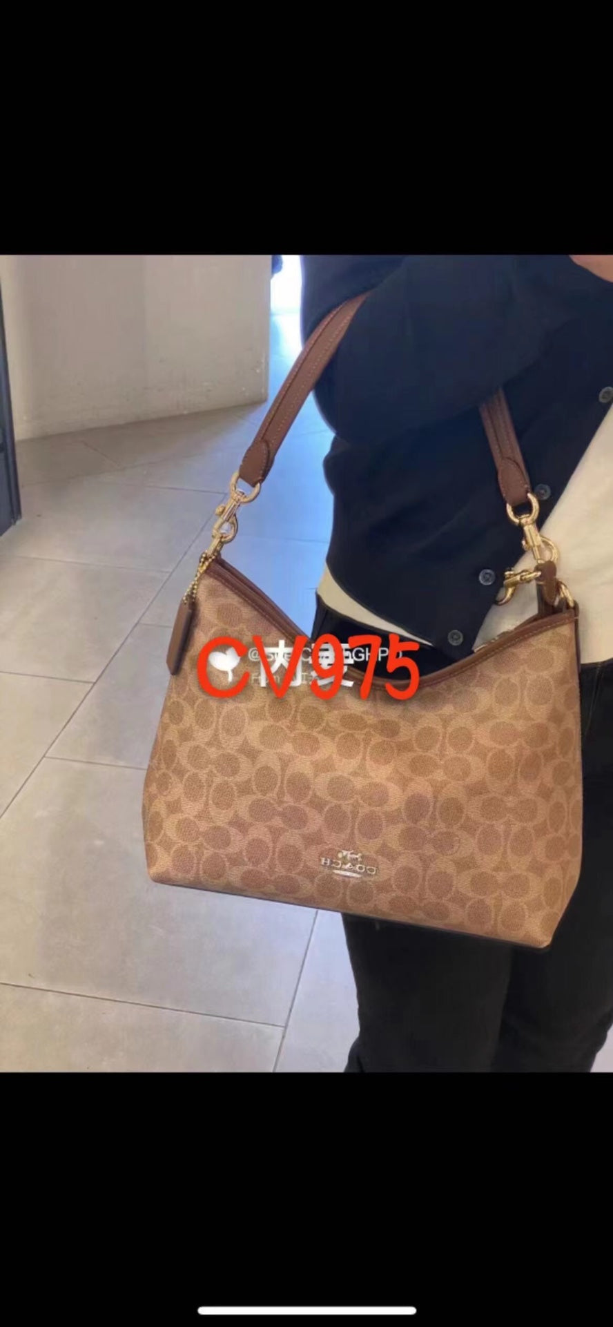 LuxluxHouse Best Quality Bags Coach
