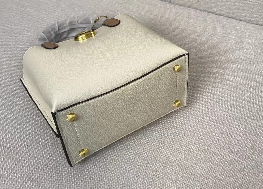 LuxluxHouse Best Quality Bags Coach