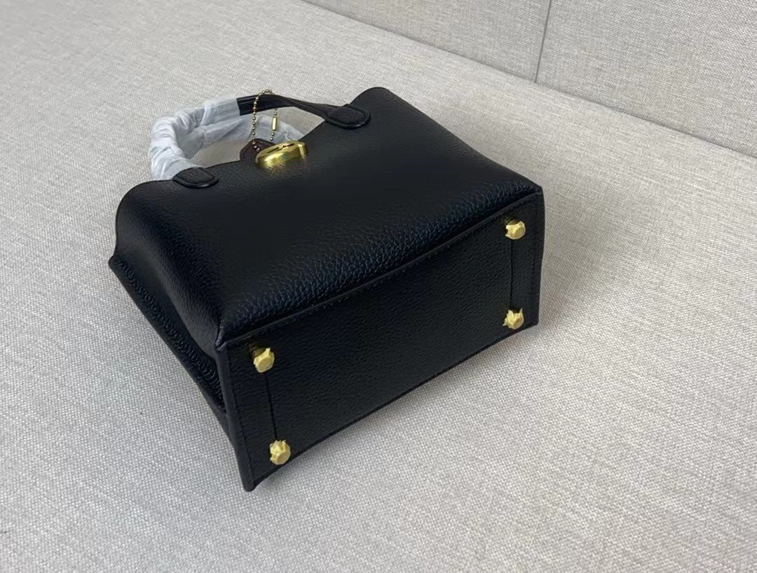 LuxluxHouse Best Quality Bags Coach